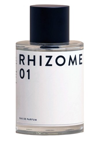 01 by Rhizome