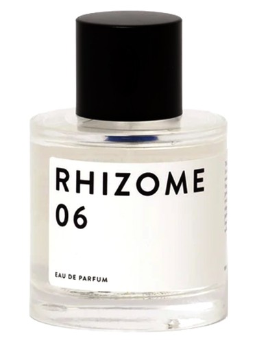 06 by Rhizome