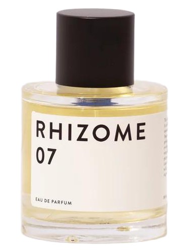 07 by Rhizome