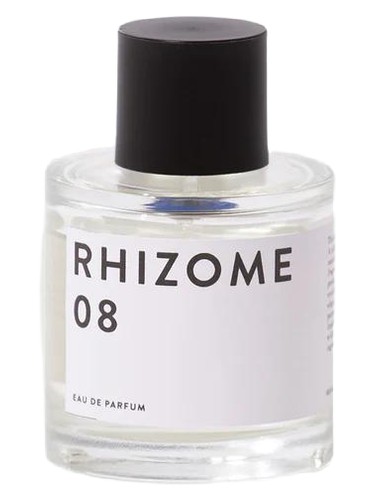 08 by Rhizome
