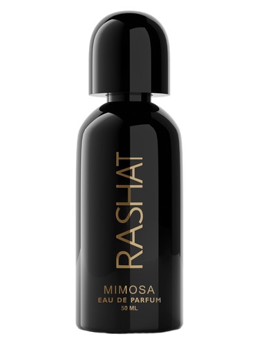 Mimosa by Rashat