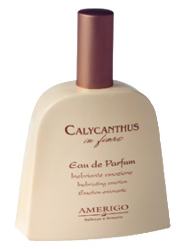 Calycanthus In Fiore by Amerigo