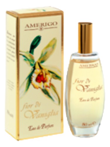 Fior Di Vaniglia by Amerigo