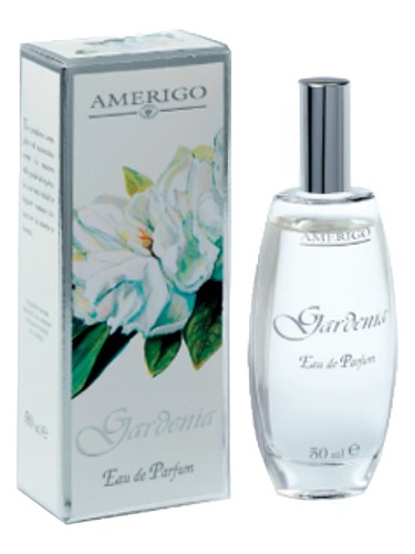 Gardenia by Amerigo
