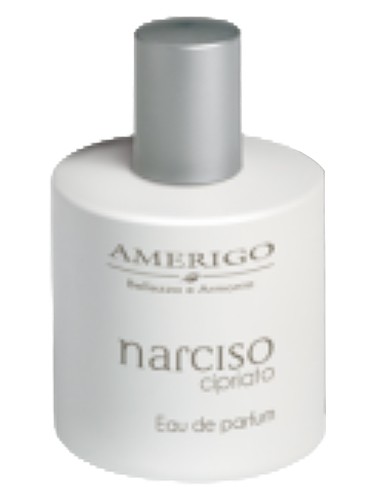 Narciso Cipriato by Amerigo