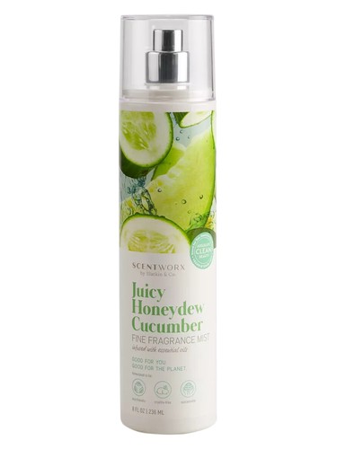 Juicy Honeydew Cucumber by ScentWorx by Slatkin + Co.