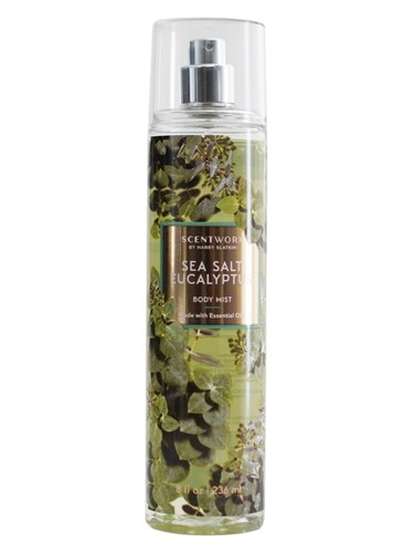 Sea Salt Eucalyptus by ScentWorx by Slatkin + Co.