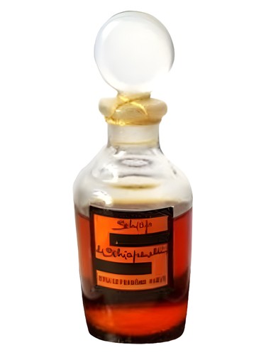 Schiap by Schiaparelli