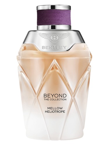 Mellow Heliotrope by Bentley