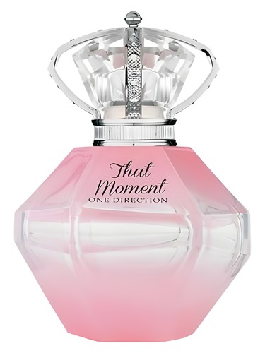 That Moment by One Direction