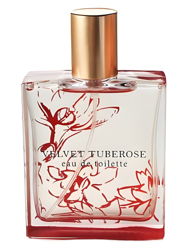 Velvet Tuberose by Bath & Body Works