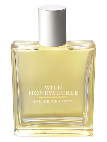 Wild Honeysuckle by Bath & Body Works