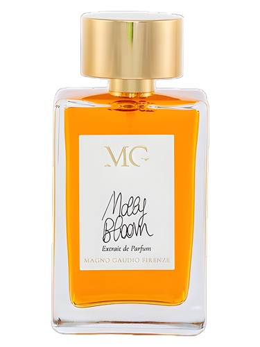 Molly Bloom by Magno Gaudio Firenze