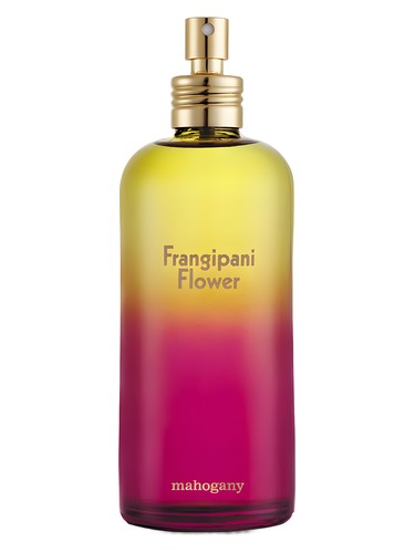 Frangipani Flower by Mahogany