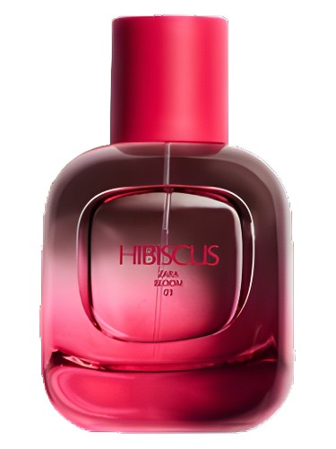Hibiscus by Zara
