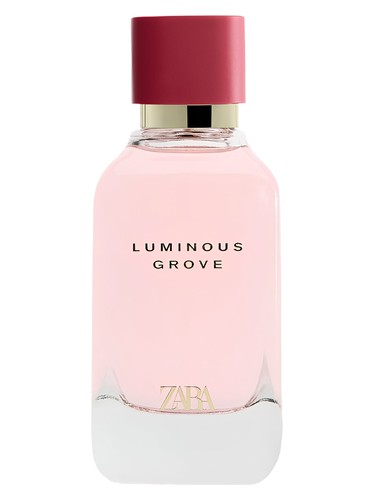 Luminous Grove by Zara