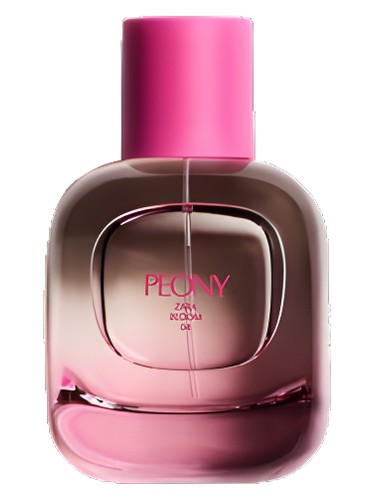 Peony by Zara