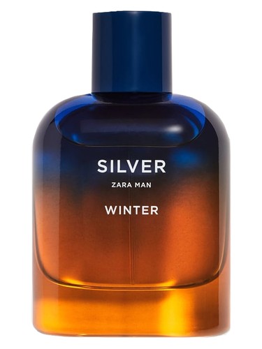 Silver Winter Zara Man by Zara