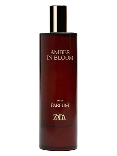 Amber In Bloom by Zara
