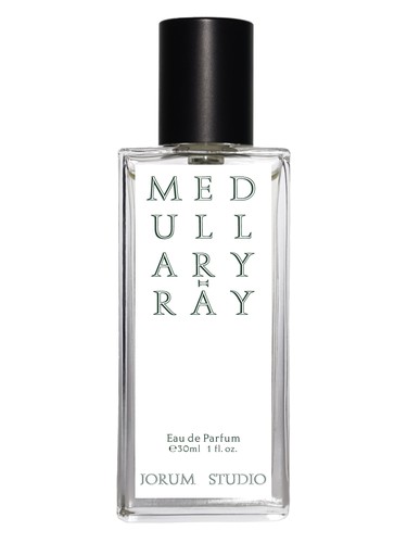 Medullary-ray by Jorum Studio