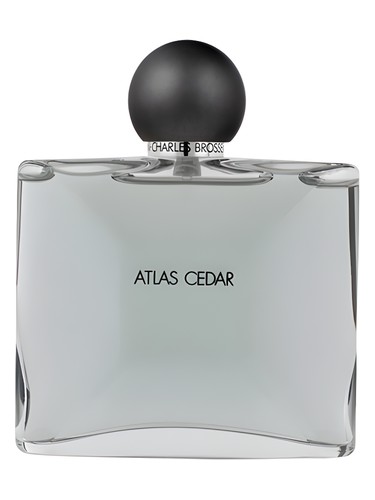 Collection Homme/Atlas Cedar by Jean Charles Brosseau