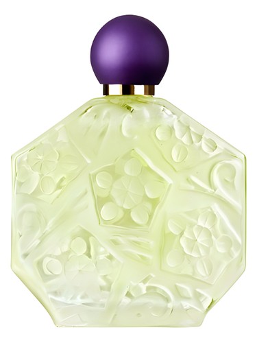 Fleurs d'Ombre/Violette - Menthe by Jean Charles Brosseau