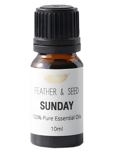 Sunday by Sensor I Am