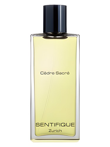 Cedre Sacre by Sentifique