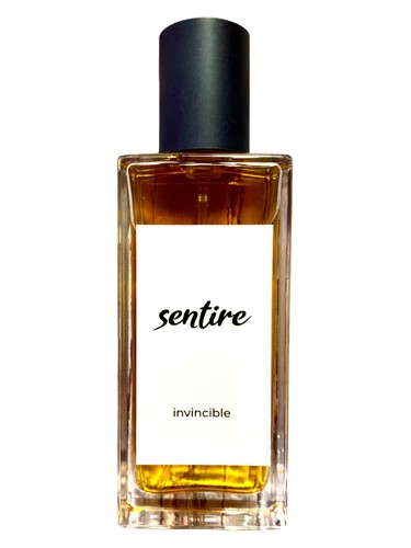 Invincible by Sentire