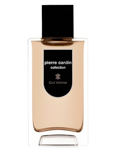 Collection Cuir Intense by Pierre Cardin