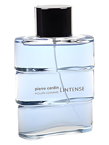 pour Homme l'Intense by Pierre Cardin