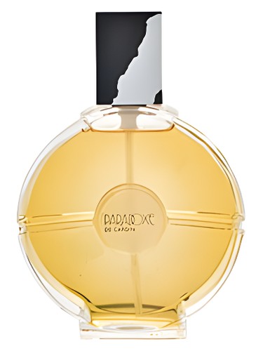 Paradoxe by Pierre Cardin