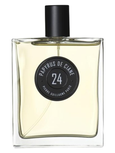 Papyrus de Ciane 24 by Pierre Guillaume Paris