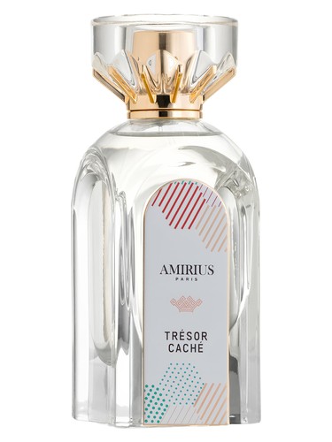 Trésor Caché by Amirius