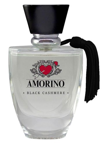 Black Cashmere by AMORINO