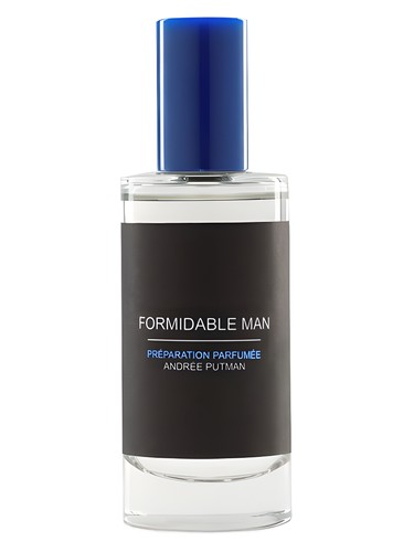 Formidable Man by Andree Putman