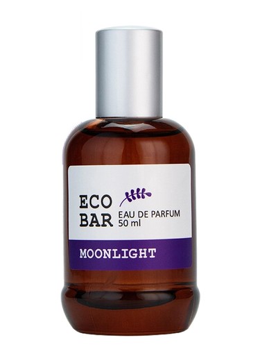 Moonlight by Vinci
