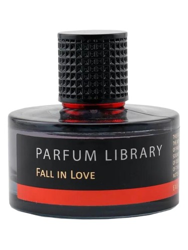 Fall in Love by Vinci