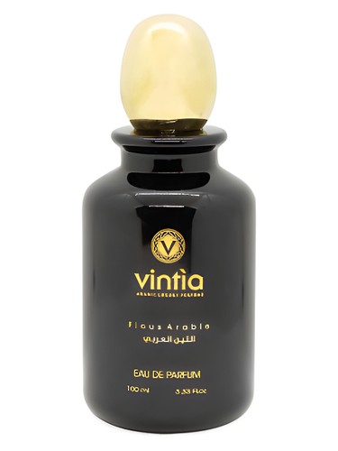 Ficus Arabie by Vintìa