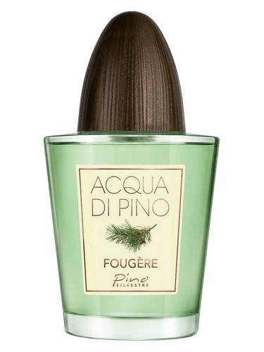 Acqua di Pino Fougere by Pino Silvestre