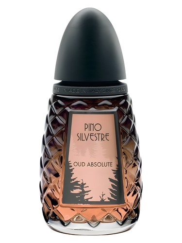 Oud Absolute by Pino Silvestre