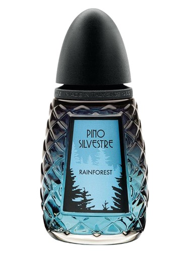 Rainforest by Pino Silvestre
