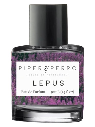 Lepus by Piper & Perro