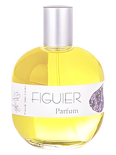 Figuier by Place des Lices