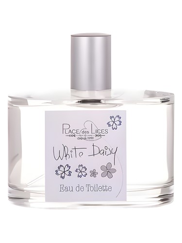 White Daisy by Place des Lices