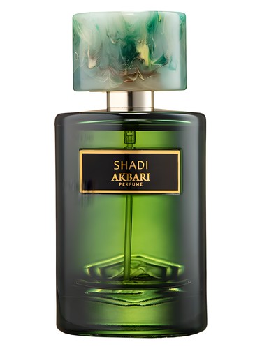 Shadi by Akbari