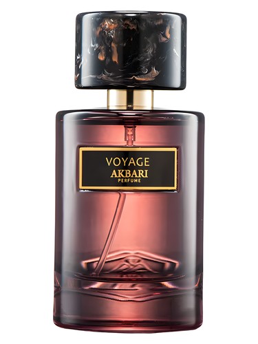 Voyage by Akbari