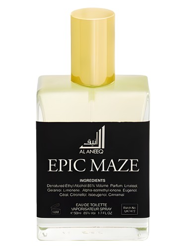 Epic Maze by Al Aneeq