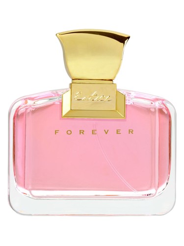 Entice Forever by Ajmal