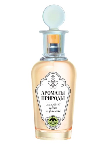 Липовый Цвет и Флоксы - Linden Blossom and Phlox by Brocard